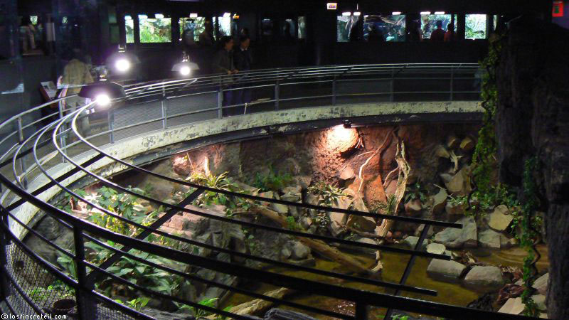 Porte Doree aquarium